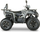 Миниатюра изображения товара Квадроцикл Yacota Dragon Lux-LD 125 (серый)