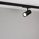 Миниатюра изображения товара Трековый светильник Arlight LGD-GERA-4TR-R74-20W Day4000 BK 55deg / 055157
