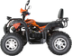 Миниатюра изображения товара Квадроцикл Yacota Sela 200 Max (оранжевый)