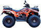 Миниатюра изображения товара Квадроцикл Yacota Cabo-200 (оранжевый)