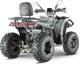 Миниатюра изображения товара Квадроцикл Yacota Viking New 200 Pro (серый)