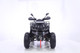 Миниатюра изображения товара Квадроцикл Yacota Warrior 200 Pro (зеленый)