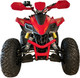 Миниатюра изображения товара Квадроцикл Yacota Typhoon 250 LD (красный)