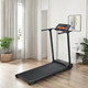 Миниатюра изображения товара Электрическая беговая дорожка Sundays Fitness T-AF21A