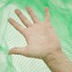 Миниатюра изображения товара Защитная сетка для растений GreenTerra Для защиты от птиц 7x7 (2x50м, зеленый)