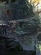 Миниатюра изображения товара Игра для игровой консоли PlayStation 5 Assassin's Creed: Shadows (EU pack, RU subtitles)