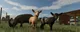Миниатюра изображения товара Игра для игровой консоли PlayStation 5 Farming Simulator 25 (EU pack, RU subtitles)