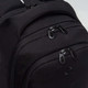 Миниатюра изображения товара Рюкзак Grizzly RD-540-2 (черный)