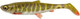 Мягкая приманка Savage Gear 3D Herring Shad 28cm 150g Cl Pike 1pcs / 1624979 — фото 3