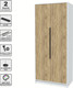 Миниатюра изображения товара Шкаф Интерлиния Концепт КТ-Ш2 (дуб золотой/белый платинум)