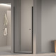 Миниатюра изображения товара Душевая дверь Dolphin TN-03B / 54930309-14