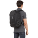 Миниатюра изображения товара Рюкзак Thule Accent 26L TACBP2316BLK / 3205384 (черный)