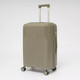 Миниатюра изображения товара Чемодан на колесах Francesco Molinary 344-8038/3-24GGN (серый/зеленый)