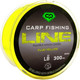 Миниатюра изображения товара Леска флюорокарбоновая Carp Pro Fluorocarbon Coated Fluo Yellow 300м / CP5103-028 (0.286мм)