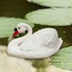 Миниатюра изображения товара Фигурка для сада Dommelochi Лебедь большой ФЛБМ