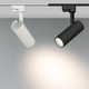 Миниатюра изображения товара Трековый светильник Arlight LGD-GERA-2TR-R55-10W Warm3000 BK 24deg / 025938