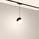 Миниатюра изображения товара Трековый светильник Arlight MAG-VIBE-EMISFERO-HANG-R100-6W Day4000-MIX BK / 044815