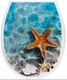 Миниатюра изображения товара Сиденье для унитаза Еврокомфорт Океан Lux Морская звезда с детской накладкой 003740 (жесткое)