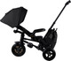 Миниатюра изображения товара Трехколесный велосипед с ручкой QPlay S702 Sprinter Max Black (Oxford/Black)