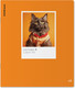 Миниатюра изображения товара Тетрадь Erich Krause CatTone / 63308 (48л. клетка)