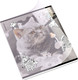 Миниатюра изображения товара Тетрадь Erich Krause Dream Cat / 54161 (48л, клетка)