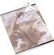 Миниатюра изображения товара Тетрадь Erich Krause Dream Cat / 54161 (48л, клетка)