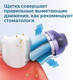 Миниатюра изображения товара Электрическая зубная щетка Oral-B Vitality D100 Starterkit + 2 насадки