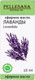 Миниатюра изображения товара Эфирное масло Pellesana Лаванда (10мл)