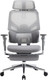 Миниатюра изображения товара Кресло офисное Evolution LumbarPro Elite (серый)