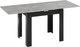 Миниатюра изображения товара Обеденный стол ТриЯ Промо тип 3 (черный/ателье светлый)