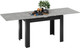 Миниатюра изображения товара Обеденный стол ТриЯ Промо тип 4 (черный/ателье светлый)