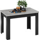 Миниатюра изображения товара Обеденный стол ТриЯ Промо тип 4 (черный/ателье светлый)