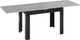 Миниатюра изображения товара Обеденный стол ТриЯ Промо тип 4 (черный/ателье светлый)