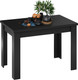 Миниатюра изображения товара Обеденный стол ТриЯ Промо тип 4 (черный/черный)