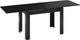 Миниатюра изображения товара Обеденный стол ТриЯ Промо тип 4 (черный/черный)
