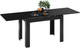 Миниатюра изображения товара Обеденный стол ТриЯ Промо тип 4 (черный/черный)