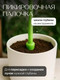 Миниатюра изображения товара Набор садовых инструментов BOTANICA 4шт (зеленый)