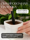 Миниатюра изображения товара Набор садовых инструментов BOTANICA 4шт (черный)