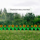 Миниатюра изображения товара Изгородь декоративная Кострома Пластик Ромашка 32.5x225см 5 секций (желтый)