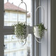 Миниатюра изображения товара Искусственное растение Ikea Фейка 205.084.08