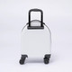 Миниатюра изображения товара Чемодан на колесах Ecotope Фламинго / 324-Z-2-16-WHT (белый)