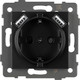 Миниатюра изображения товара Розетка Arlight SCT-MUAA-PL-BK-V / 049819