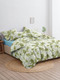 Миниатюра изображения товара Комплект постельного белья Ночь нежна Нина Евро 70x70 / 20624-1+21141-7