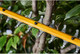 Миниатюра изображения товара Кусторез аккумуляторный DeWalt DCMHT573X1