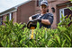 Миниатюра изображения товара Кусторез аккумуляторный DeWalt DCMHT573X1