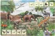 Миниатюра изображения товара Развивающая книга Умка 50 окошек для малышей. Тайны динозавров (9785506099376)
