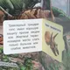 Миниатюра изображения товара Развивающая книга Умка 50 окошек для малышей. Тайны динозавров (9785506099376)