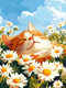 Миниатюра изображения товара Набор алмазной вышивки Феникс+ Кот и ромашки / 70817