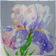Миниатюра изображения товара Набор алмазной вышивки Феникс+ Ирис / 70827
