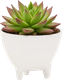 Миниатюра изображения товара Кашпо BOTANICA Step (11x8.5см, белый)